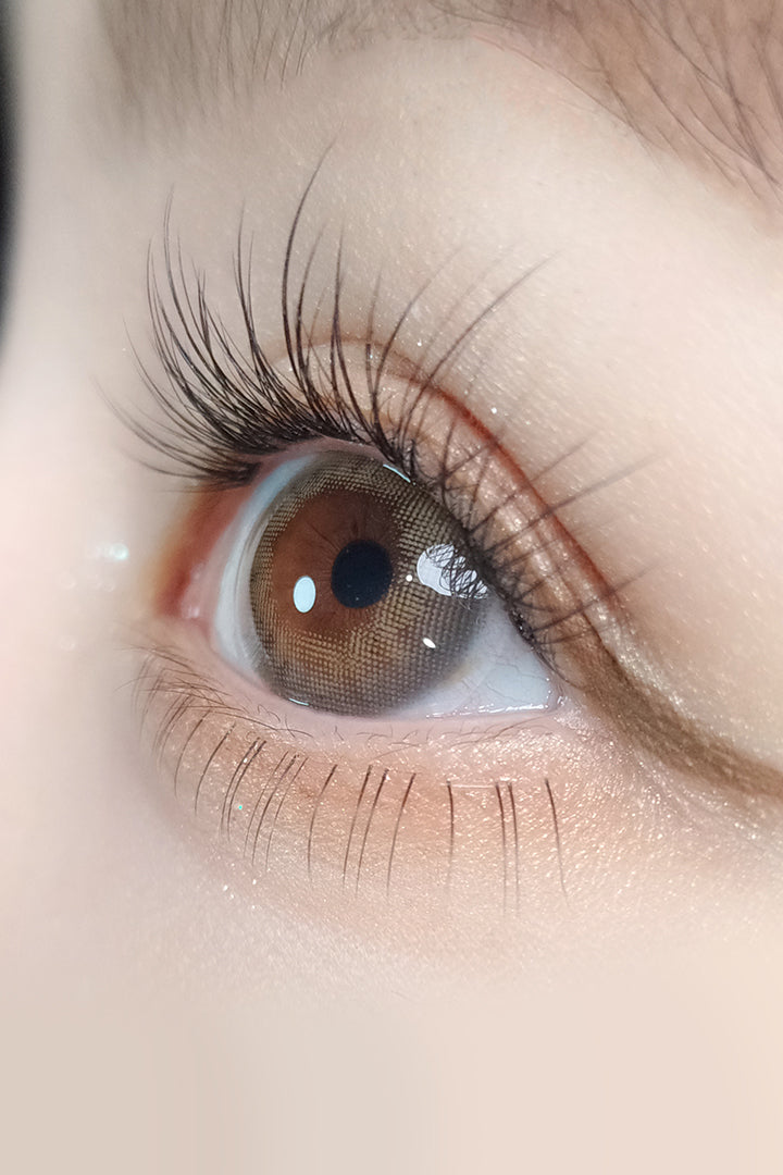 Ann365 1 Day The World Taro Jeom Ann365