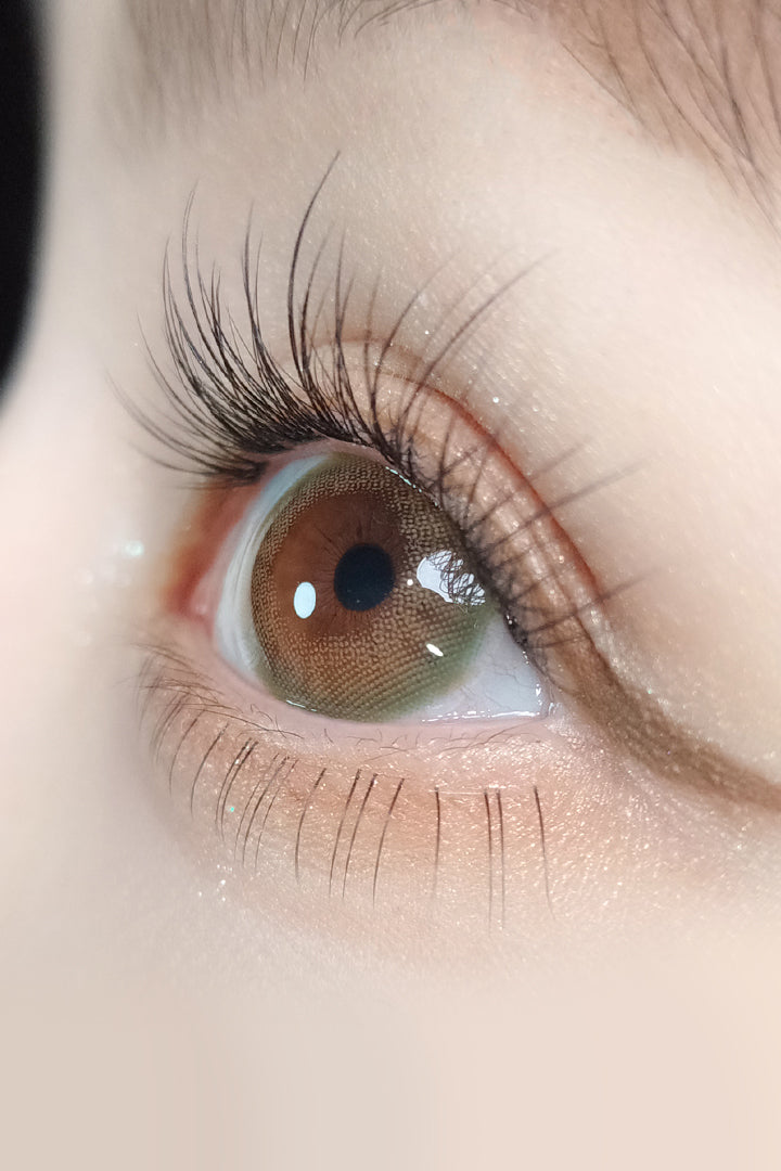 Ann365 1 Day The World Taro Jeom Ann365