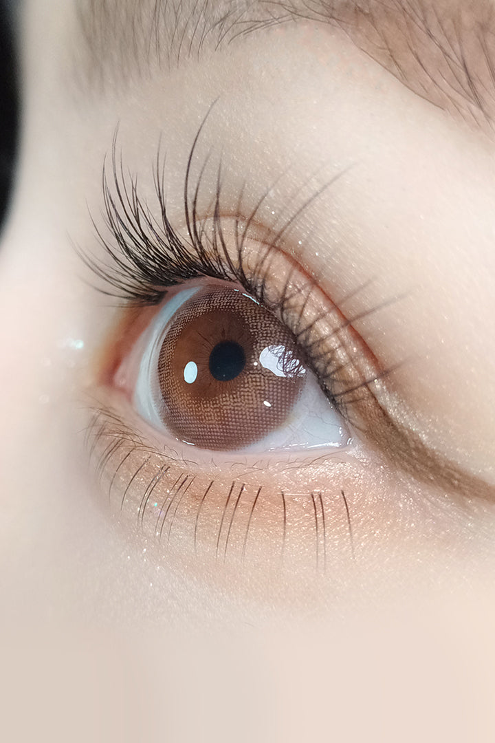 Ann365 1 Day The World Taro Jeom Ann365