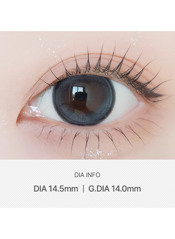 [旗艦店現貨] Vellyn Gray 潤光灰 (1 Day/10 片)